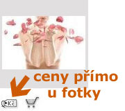 Ceny primo u fotografie